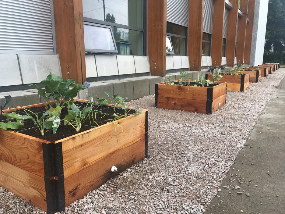 community garden web