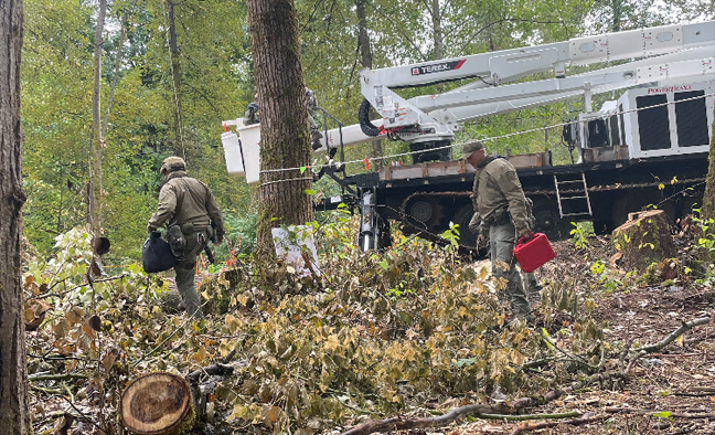 RCMP tactical team members have started to move in Wednesday morning in an attempt to remove Trans Mountain protesters from trees in the path of the pipeline in Burnaby.