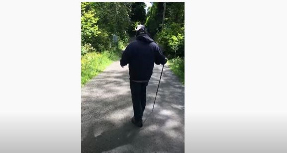 A senior storms away after yelling racist statements on a Burnaby trail.