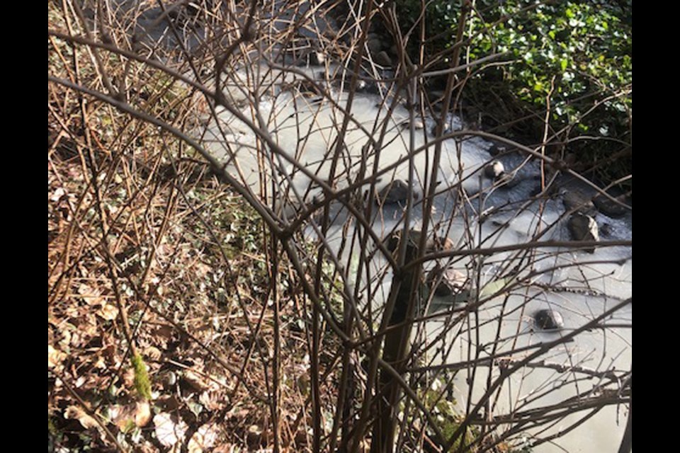 A polluted portion of Stoney Creek on Tuesday.