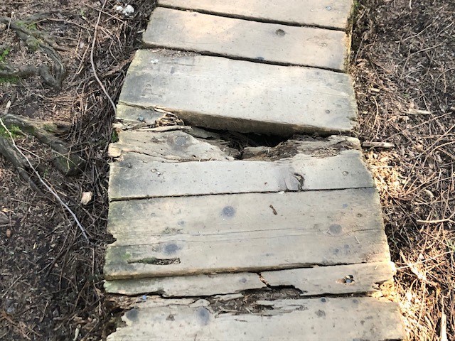 Trail damage on Burnaby Mountain. 