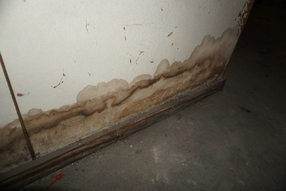 basement mold mould flood damage