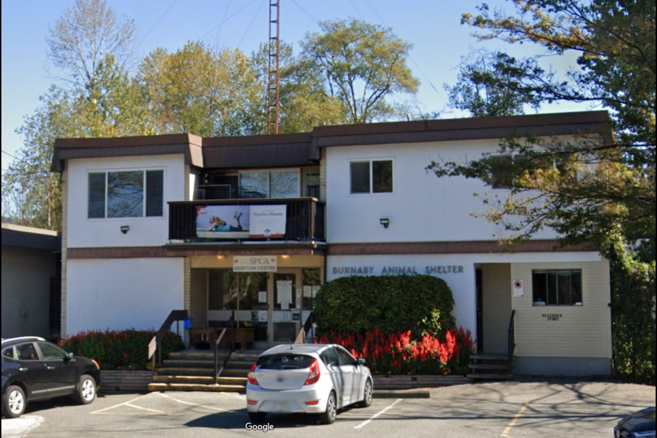 Plans are in the works to redevelop the Burnaby animal shelter at 3202 Norland Ave.