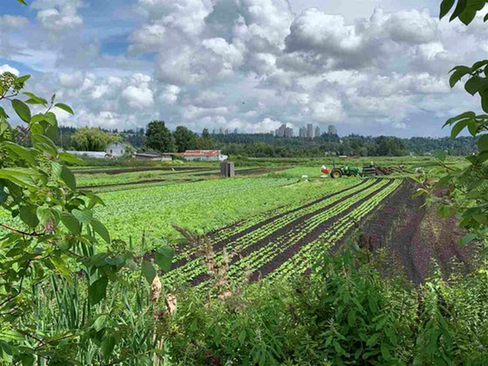 farm north fraser way