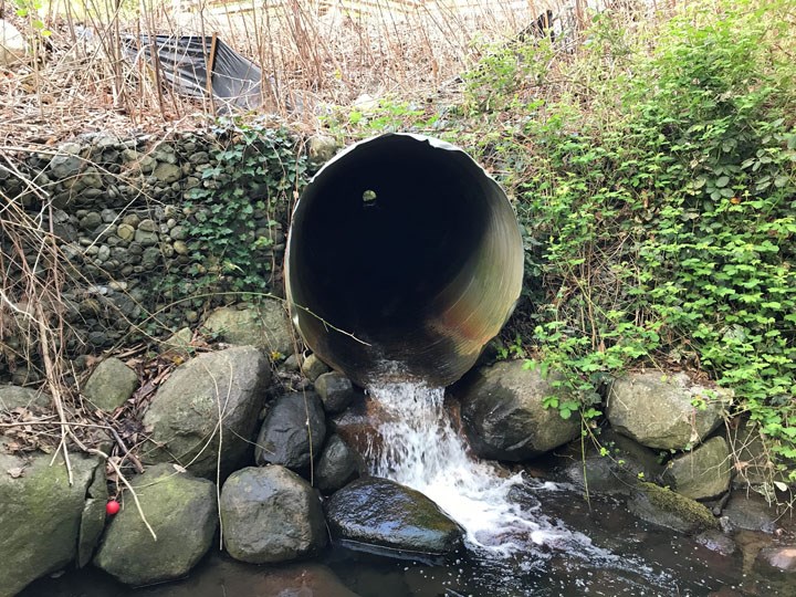 This old culvert that runs under Deer Lake Parkway prevents fish from passing through.