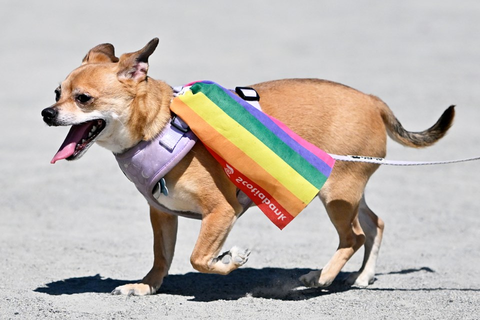 burnabypride01