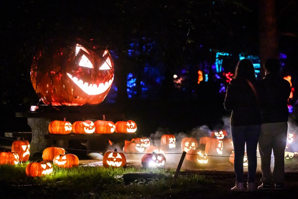 pumpkinsafterdark6