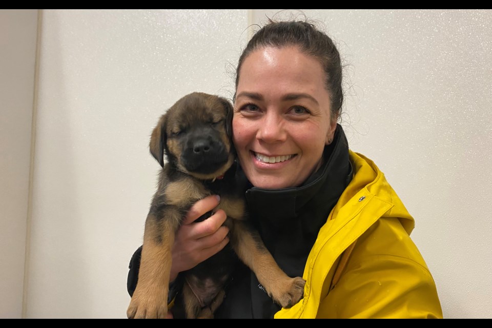 Para Space marketing co-ordinator Catherine Deacon with a LAPS puppy during initial stages of sensory playground project development. 