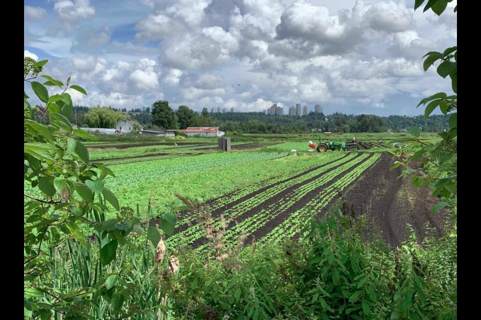 A farm at 7518 North Fraser Way has sold in Burnaby for $5 million.