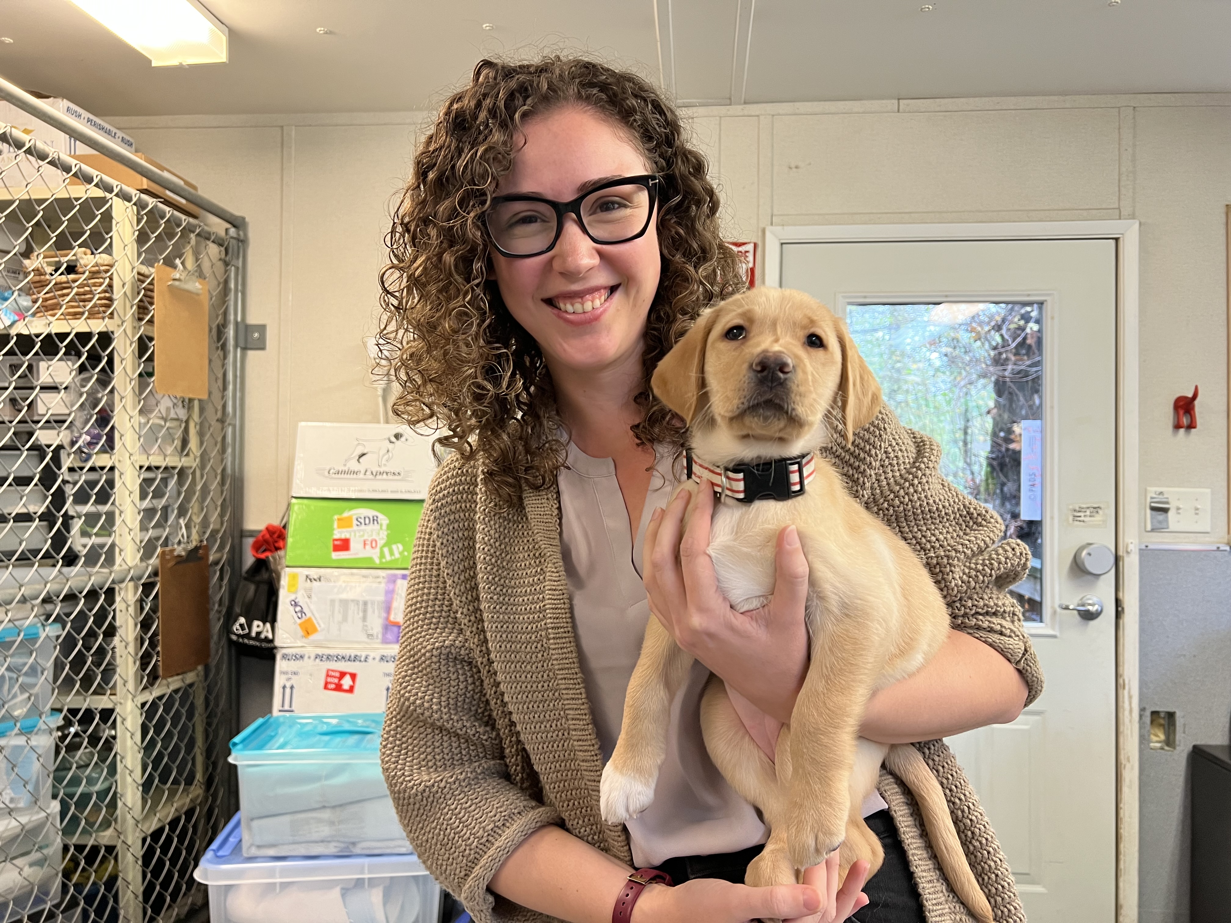 Which breeds need to have the express service sales