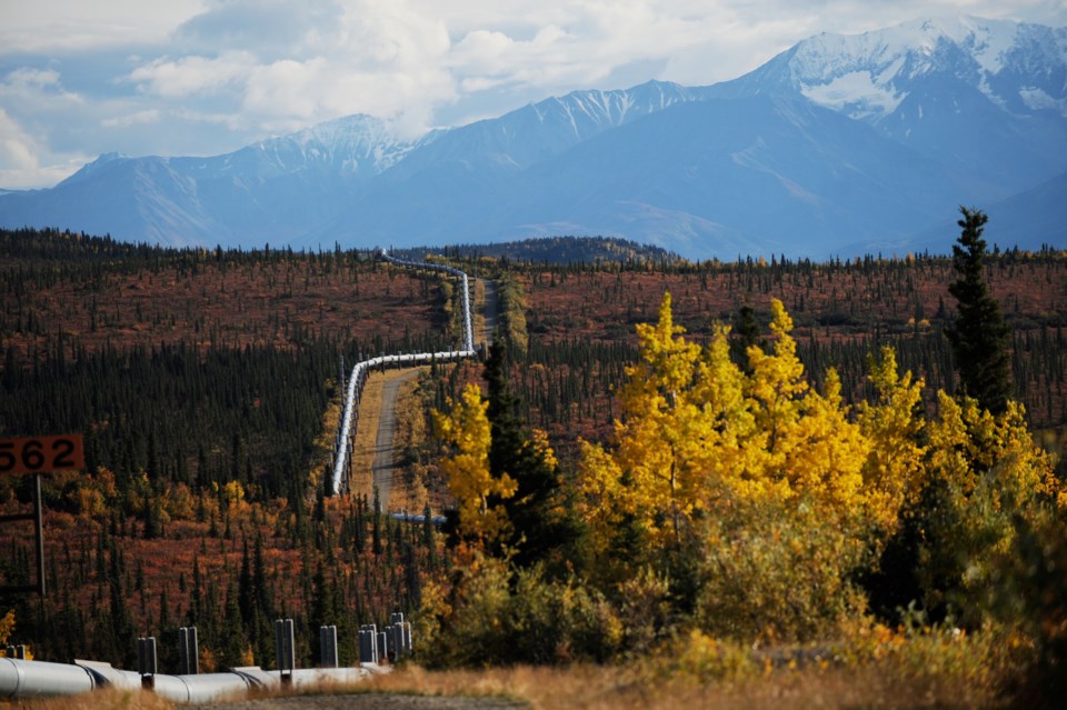 Alaska Oil Pipeline