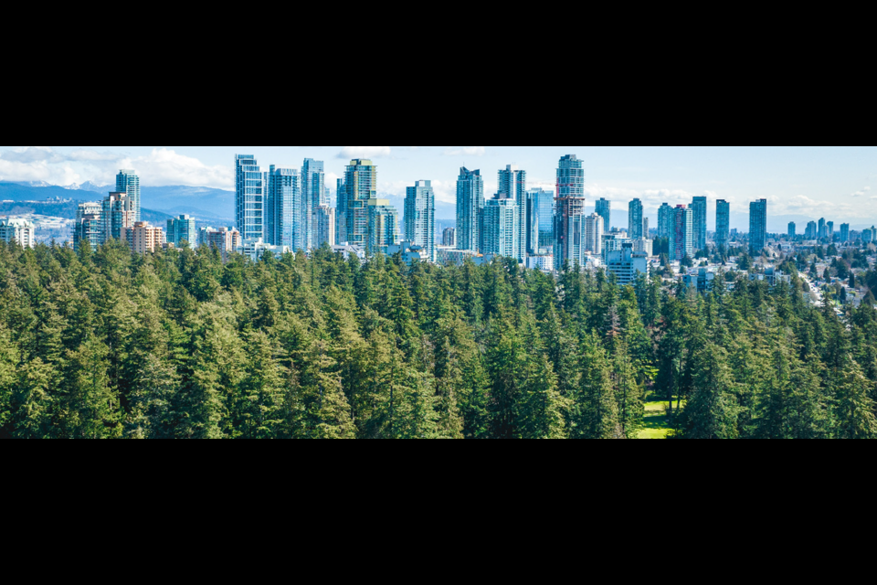 The City of Burnaby is preparing an Urban Forest Management Strategy to provide direction for the future management of the city’s trees.