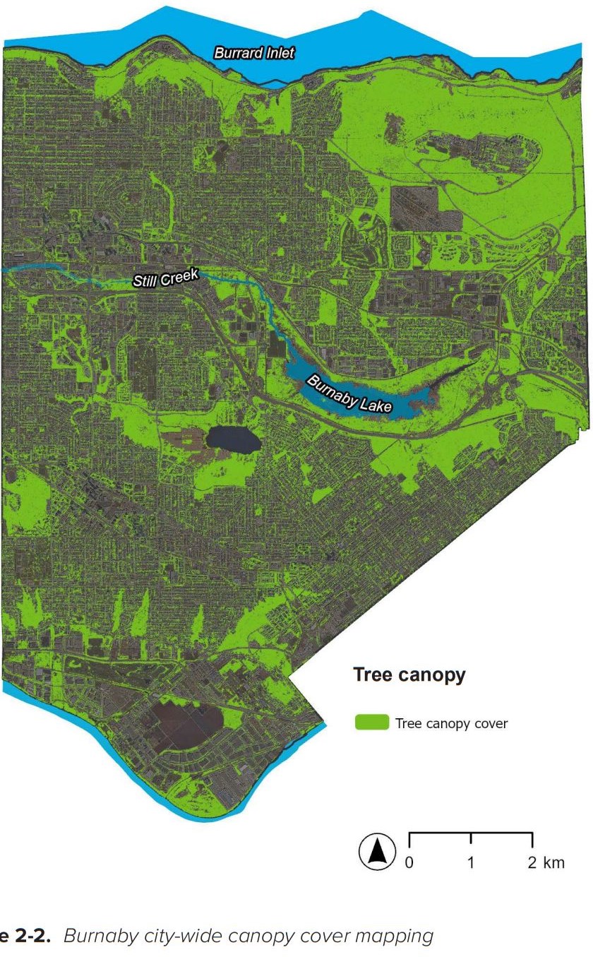 burnaby-tree-cover-canopy