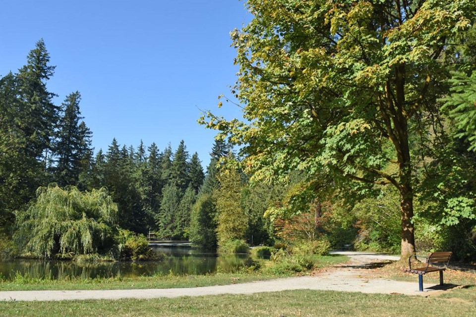 Burnaby's Central Park ponds need a major upgrade say city staff.