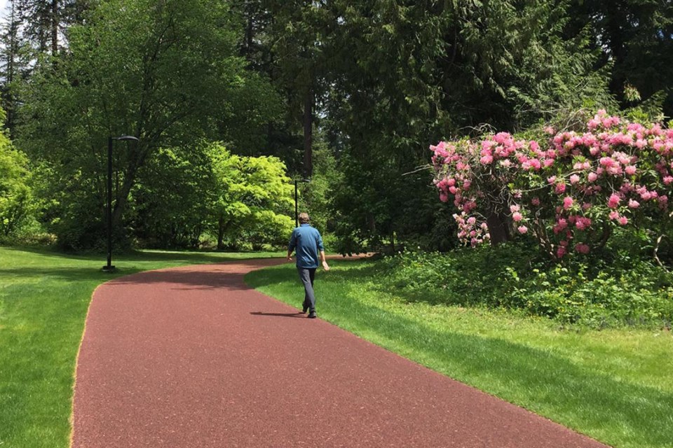 Rubberized trail in Burnaby's Central Park now complete - Burnaby Now