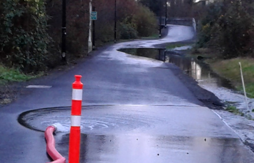 Water flowing in the Still Creek area in Burnaby.
Kelly Pickell photo