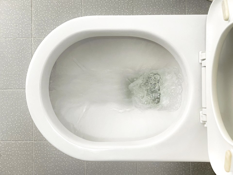 GettyImages-toiletWEB