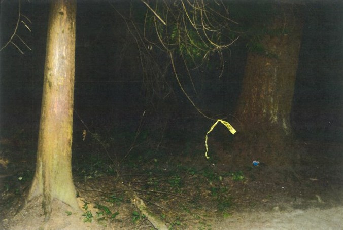 scenephone04
