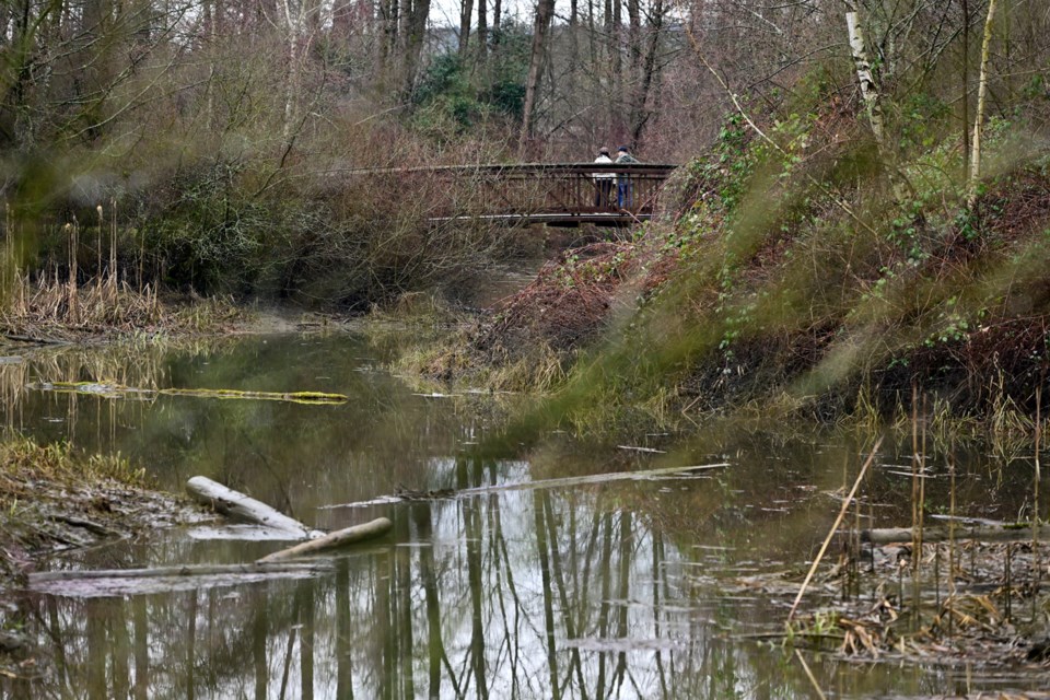 burnabyfraserforeshorepark