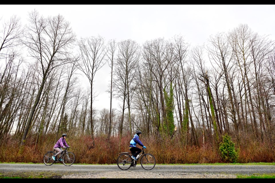 Burnaby residents can vote on the fate of twenty-one acres of parkland at Fraser Foreshore Park, which could be removed to become the site of an organic waste recycling facility.