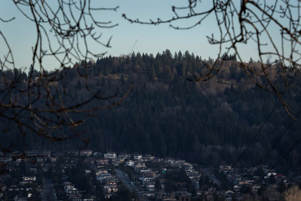 BurnabyMountain04