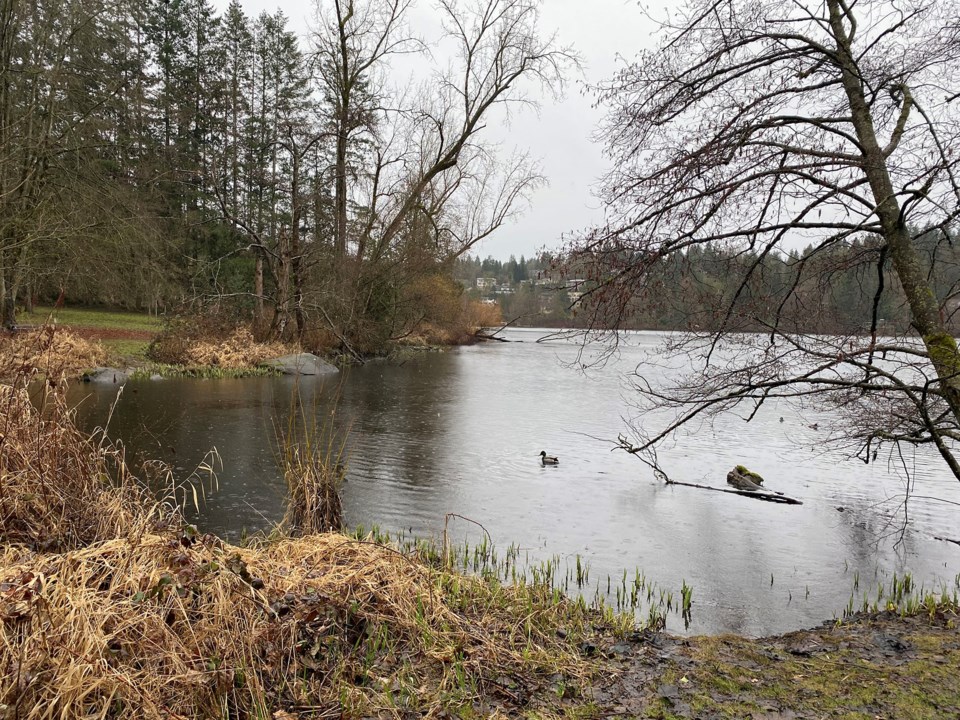 deer-lake-location-for-pedestrian-bridge-burnaby-3