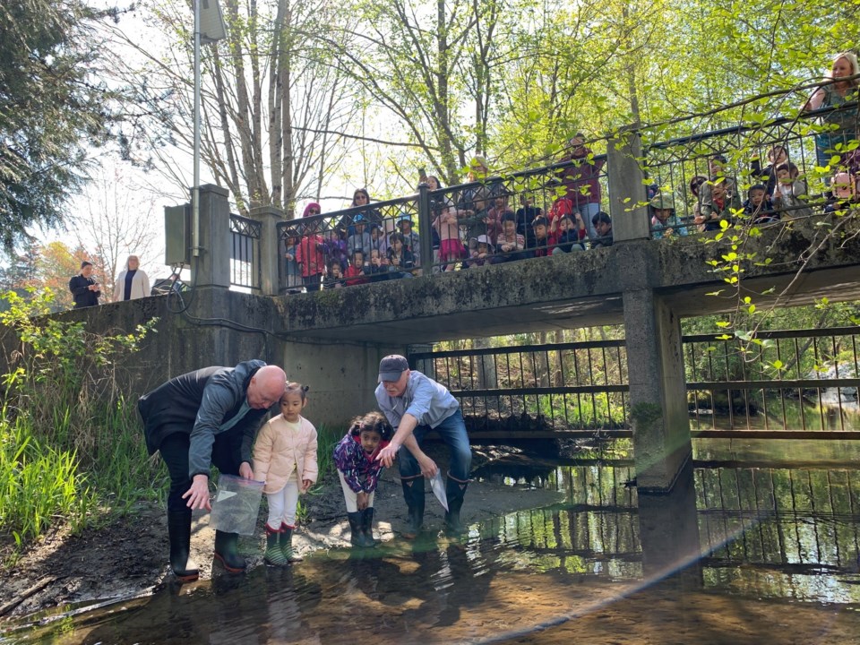 guichon-creek-salmon-release