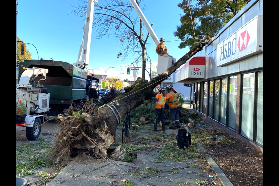 Crews are hard at work Saturday afternoon dealing with a large tree that came down on Sixth Street, in front of (and on top of) the HSBC.