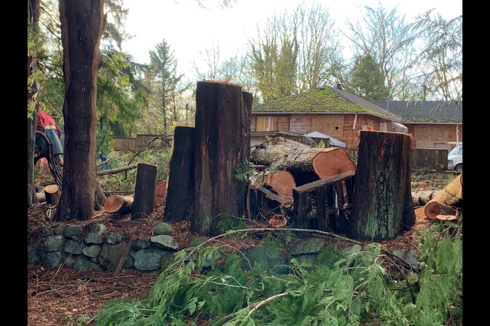 Seventeen trees have been cut down to make way for a daycare facility in Burnaby.