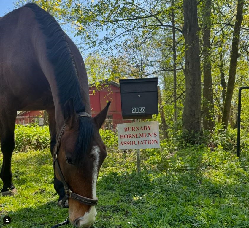 burnaby-horsemens-association-open-house