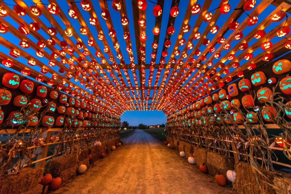 Pumpkins After Dark will return to Burnaby's Swangard Stadium this September and October to host a spooky pumpkin walk.