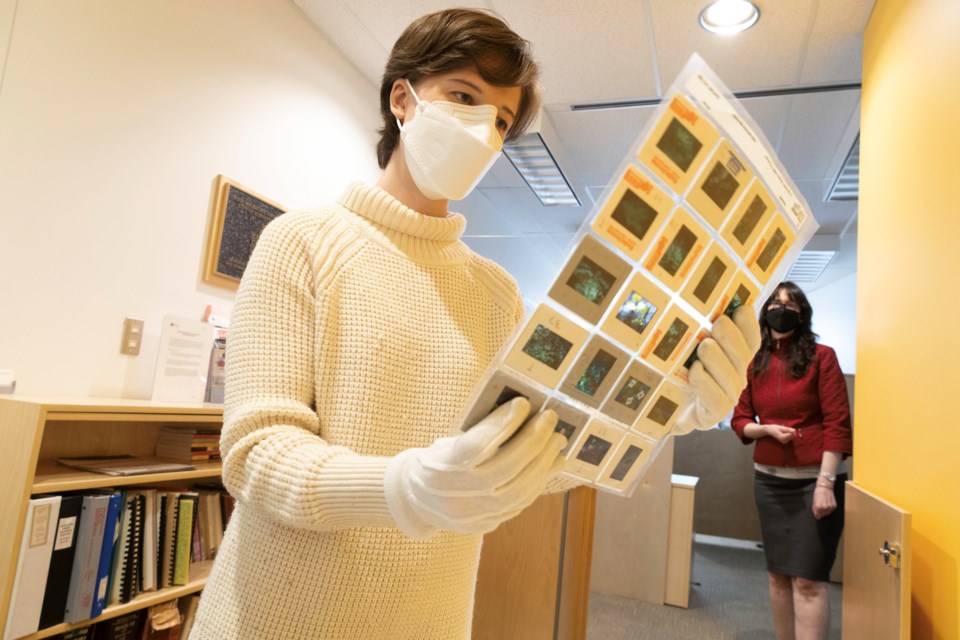 Julia Alforde, archives clerk at the City of Burnaby, reviews a sheaf of film slides donated by the Burnaby Mountain Preservation Society.