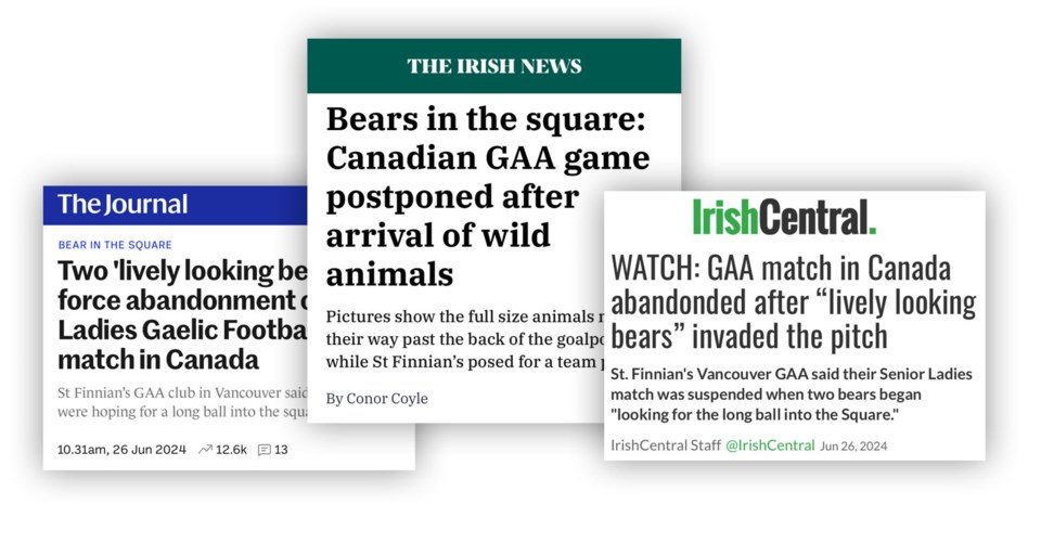 irish-viral-burnaby-bear-football