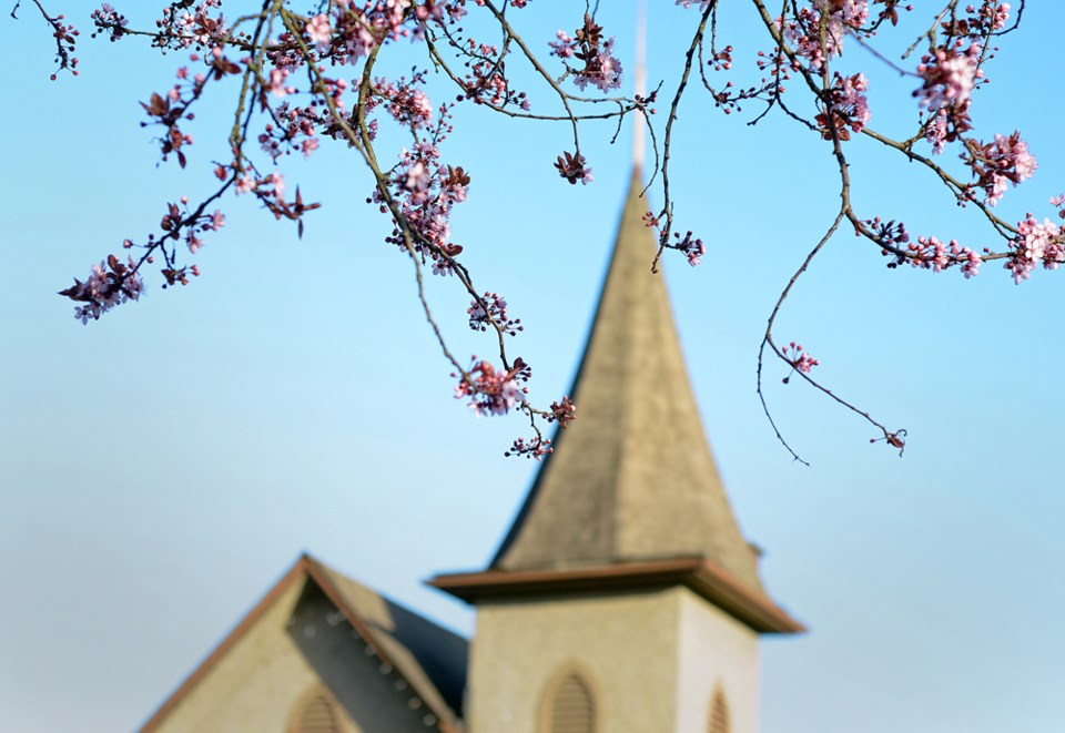 cherryblossomswestendnewwest