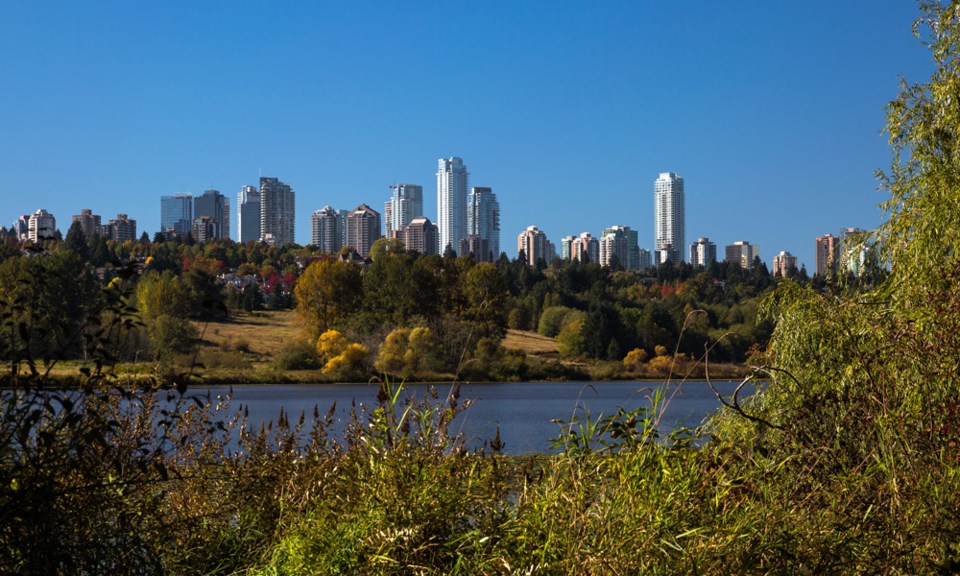 deerlakeburnabytrees