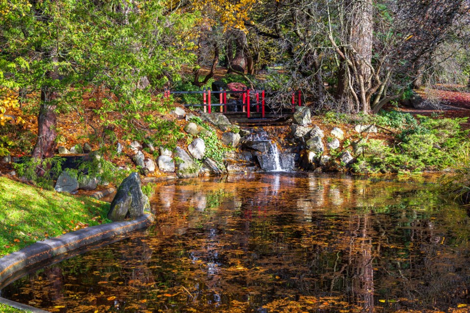 fallfriendshipgardens