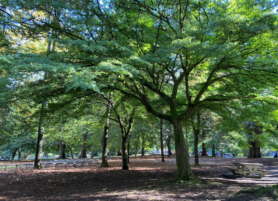 queensparknewwestminster2023