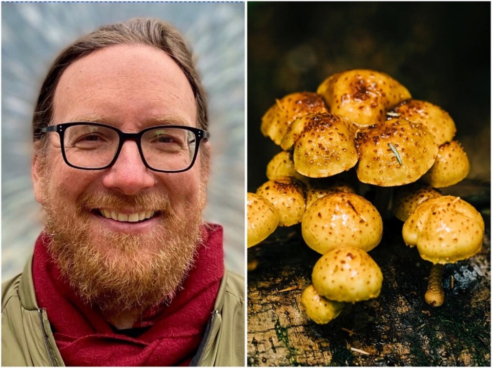 mushrooms-fungi-gettymichaelhathawayburnabywhistlerwritersfestival2023collage