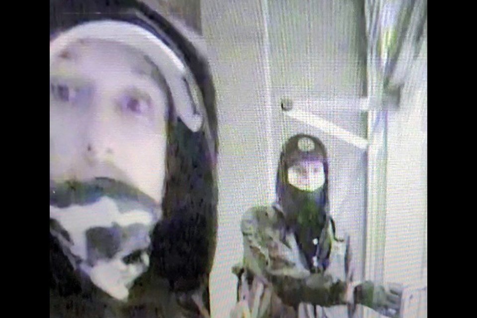 Police are looking to identify two suspects in a pair of Burnaby mail thefts in March. 