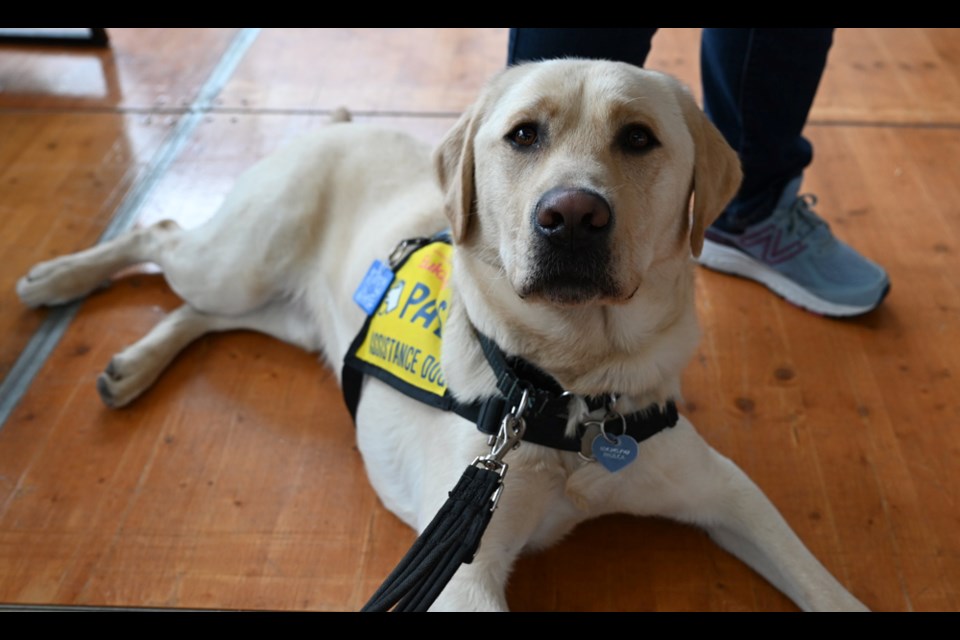 Pacific Assistance Dogs visited the Burnaby RCMP detachment Wednesday to receive a donation from the Const. Shaelyn Yang Legacy Committee.