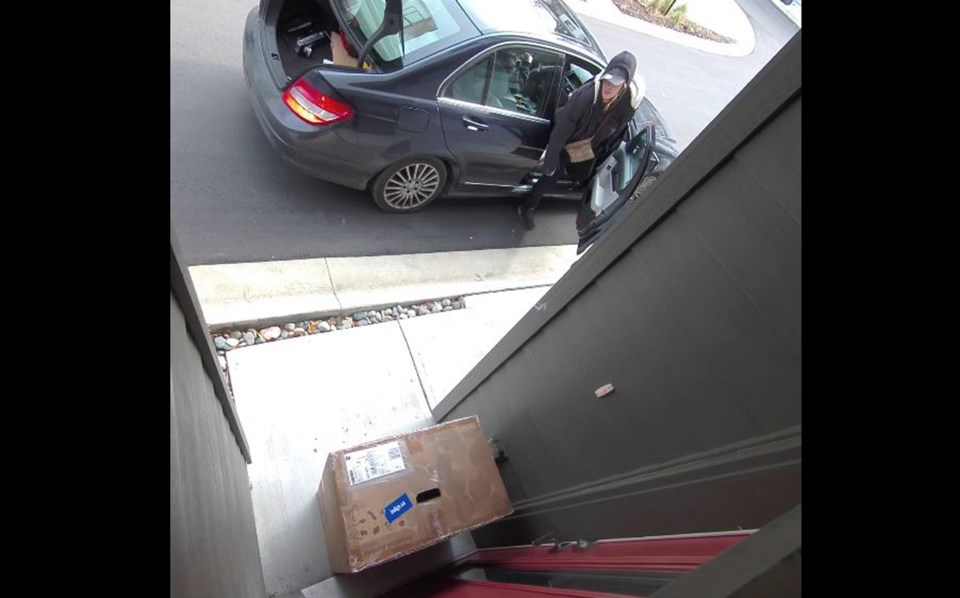 porch pirate