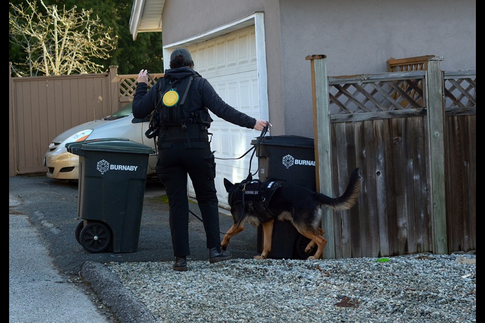 A Burnaby Urban Search and Rescue member searches for Anderson Cheng, missing since Feb. 1.