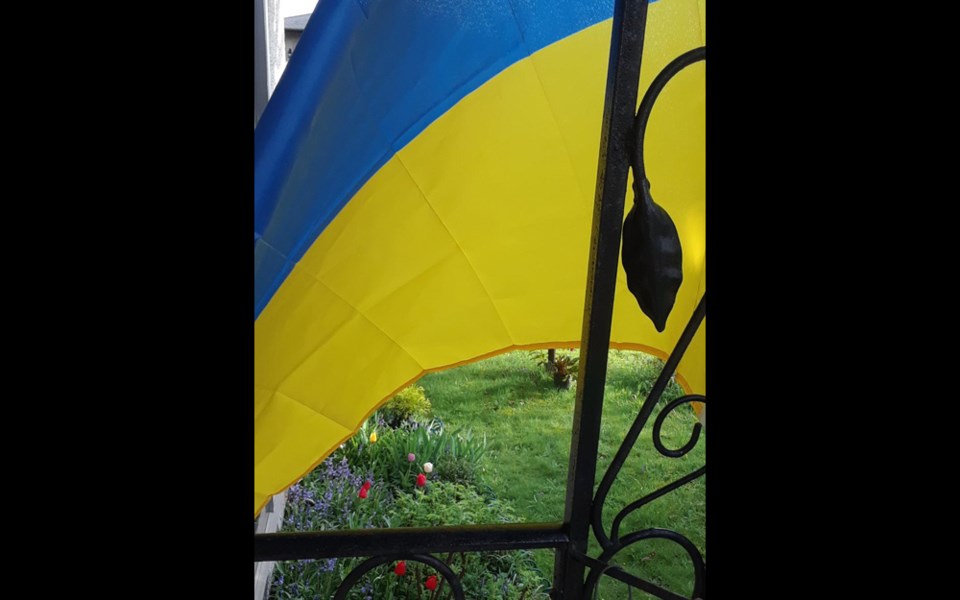 ukraine-flag-janice-bobic