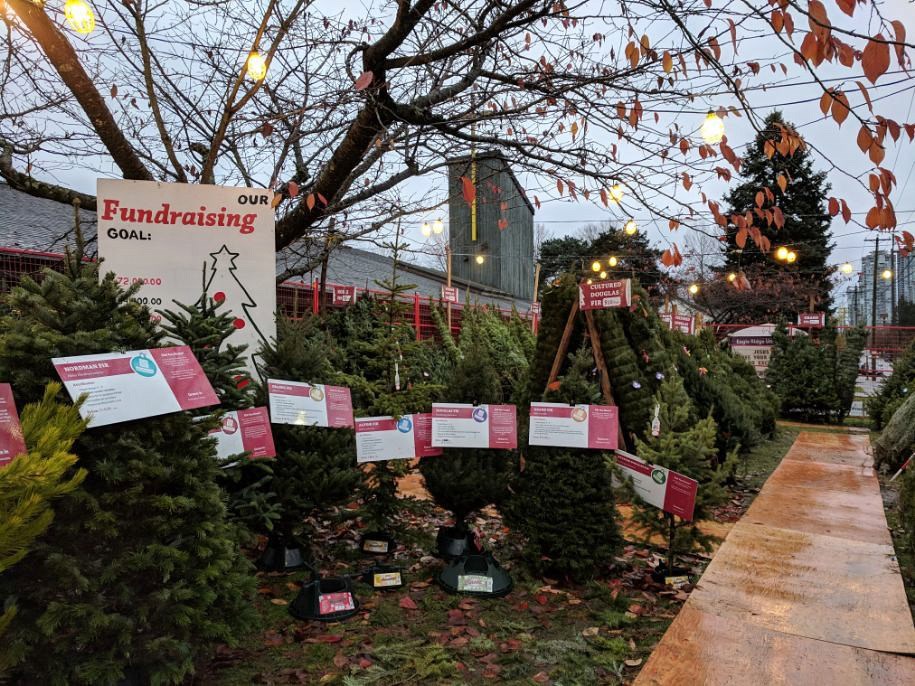 Buy the perfect Christmas tree, and support a great cause - Burnaby Now