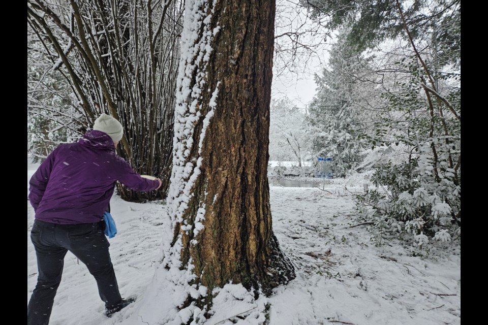 Snowy weather doesn't stop disc golfers from playing — they just stick ribbons onto the discs so they can see where they land.