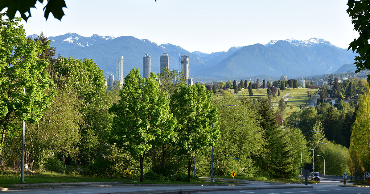 New strategy being developed by City of Burnaby to enhance urban forest