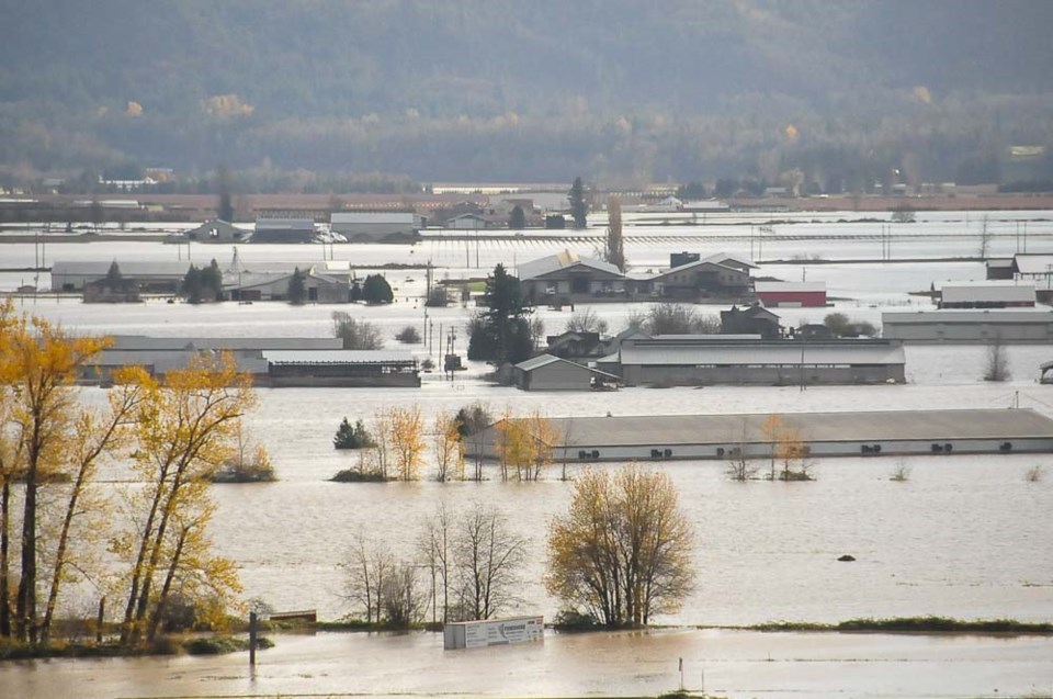 abbotsford-flood-waters-fields