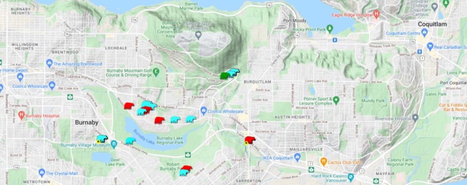 bearsightingsburnaby