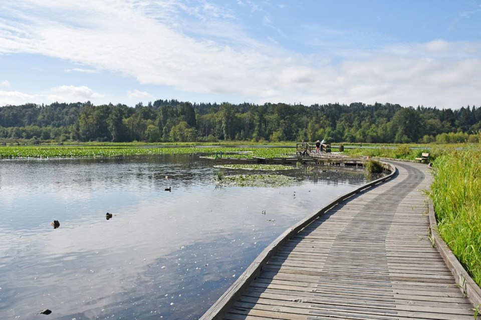 burnabylake