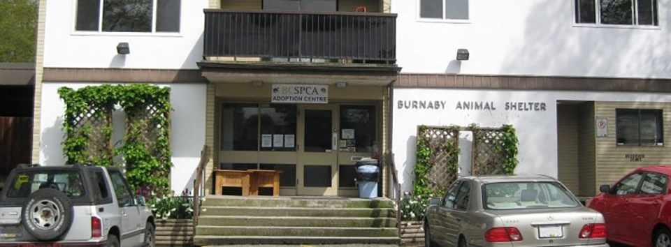 burnabyspca01